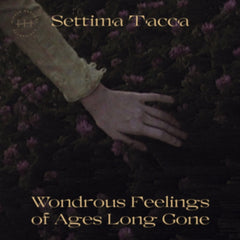 Settima Tacca