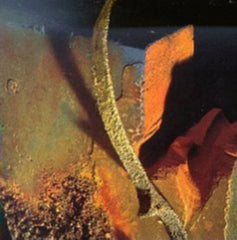 NUSRAT FATEH ALI KHAN