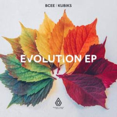 BCee & Kubiks
