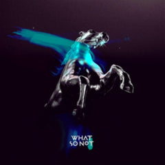 What So Not
