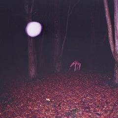 Buzzard Buzzard Buzzard
