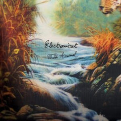 Electronicat