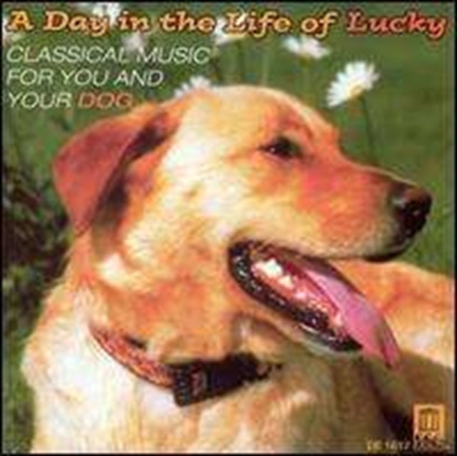 Day in the Life of Lucky, A (Seattle So)