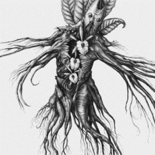 IV: Mandragora
