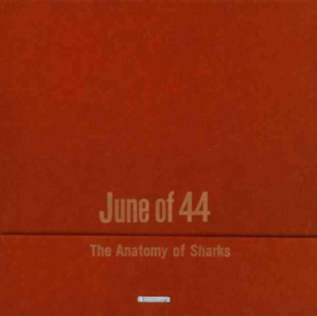 The Anatomy of Sharks