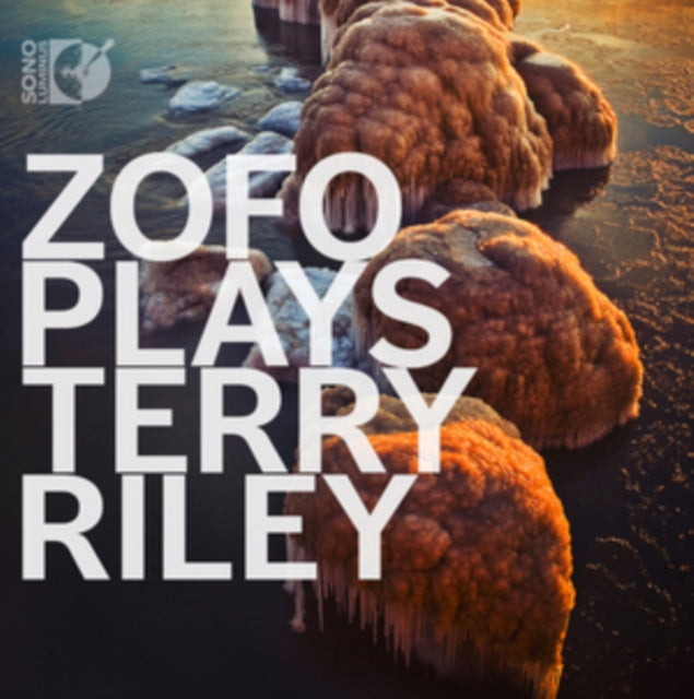 Zofo Plays Terry Riley