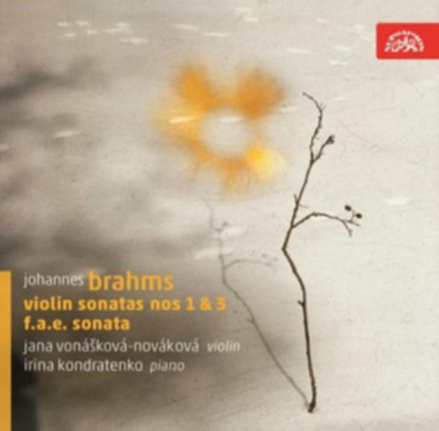 Johannes Brahms: Violin Sonatas Nos. 1 & 3/F.A.E. Sonata