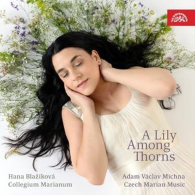 A Lily Among Thorns