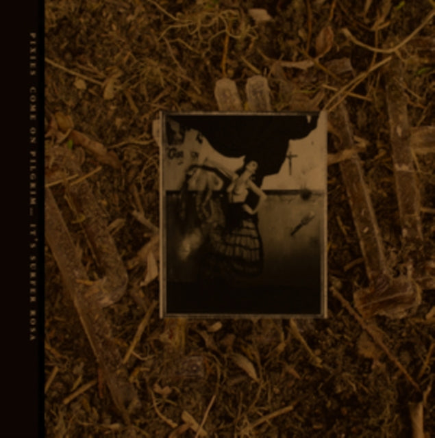 Come On Pilgrim... It's Surfer Rosa