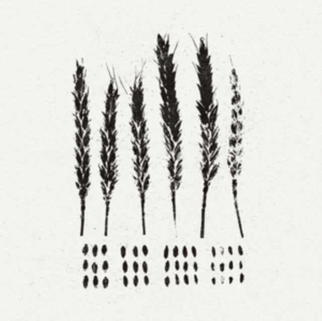 The Gleaners