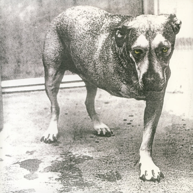 Alice in Chains (30th Anniversary)