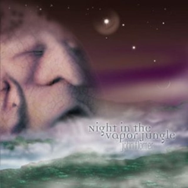 Night in the vapor jungle
