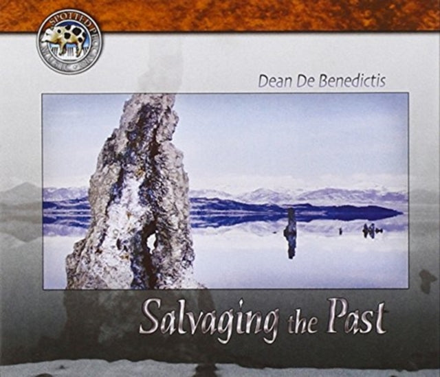 Salvaging The Past