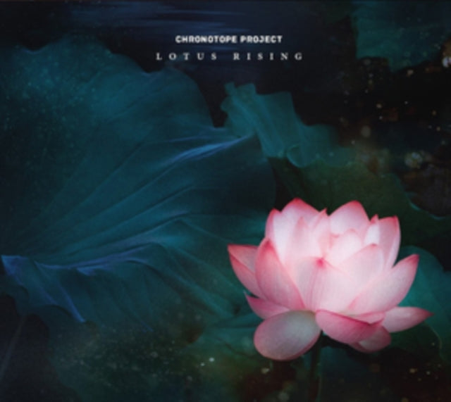 Lotus Rising
