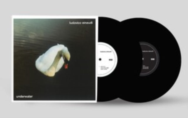 Ludovico Einaudi: Underwater