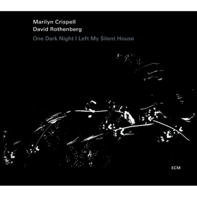 One Dark Night I Left My Silent House