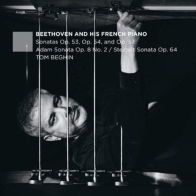 Tom Beghin: Beethoven and His French Piano