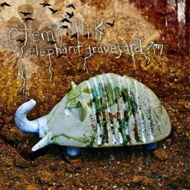 Elephant graveyard