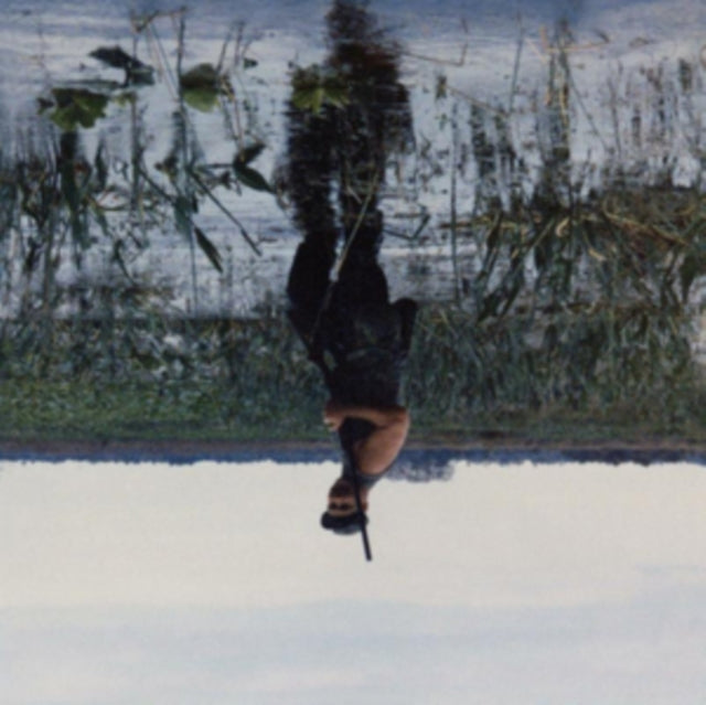 Animal Drowning