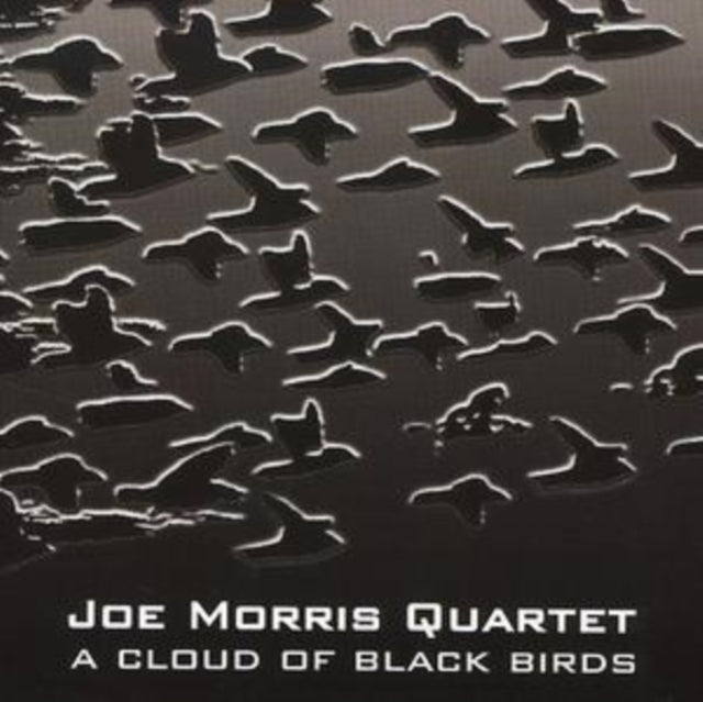 A Cloud of Black Birds