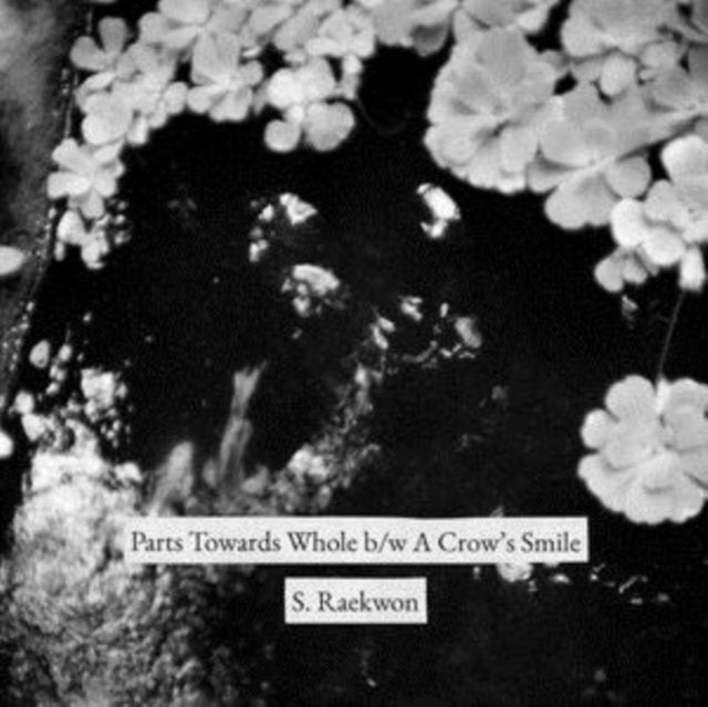Part Towards Whole/A Crow's Smile