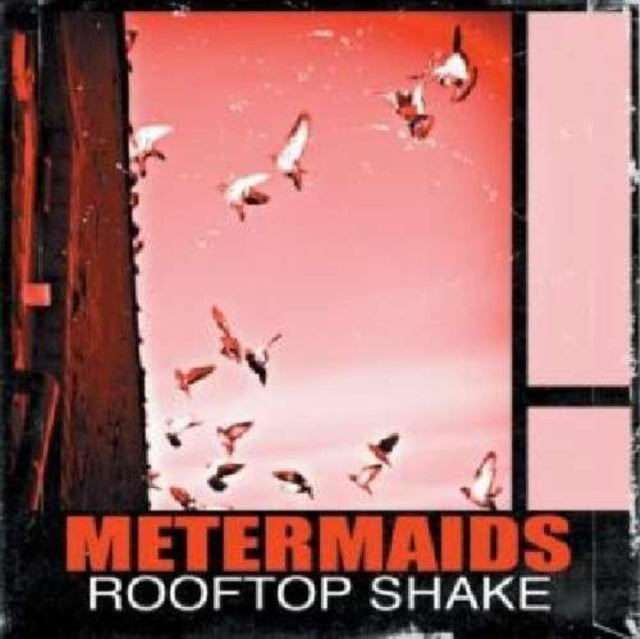 Rooftop shake