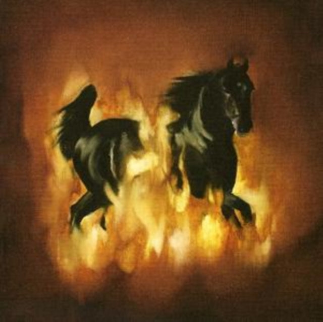 The Besnard Lakes Are the Dark Horse