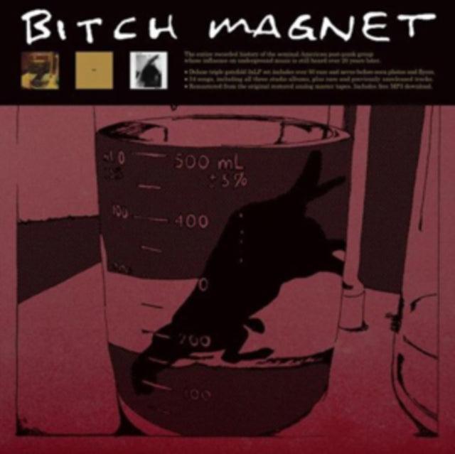 Bitch Magnet