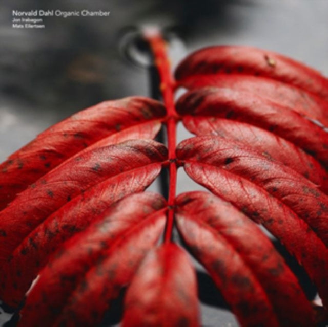 Norvald Dahl Organic Chamber