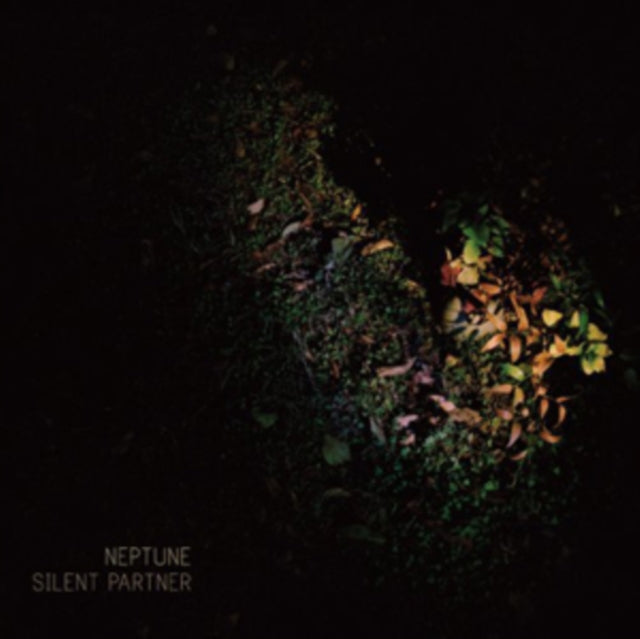 Silent Partner