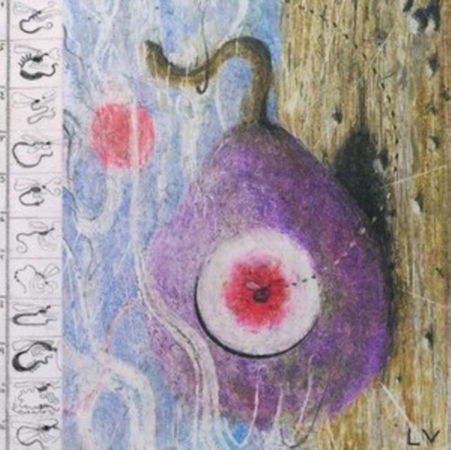 Inside Every Fig Is a Dead Wasp