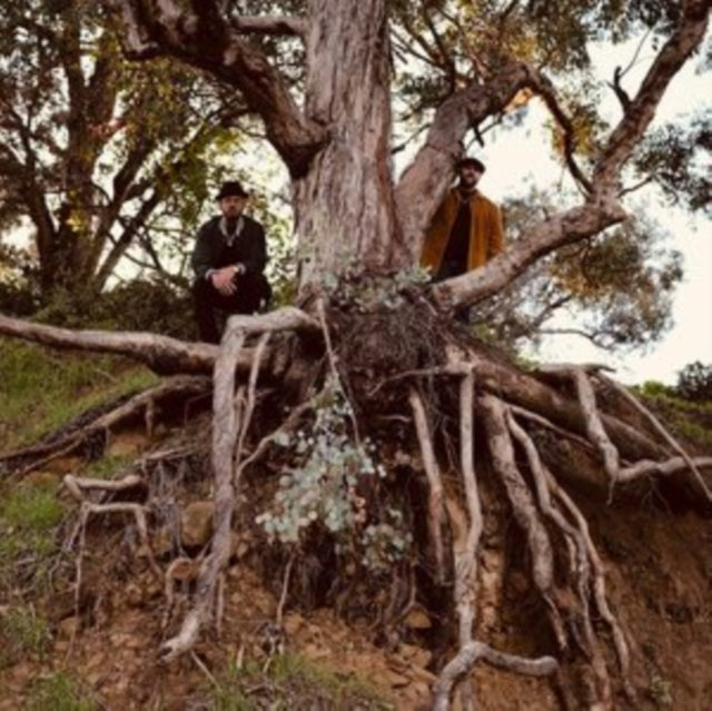 Miles: From an Interlude Called Life