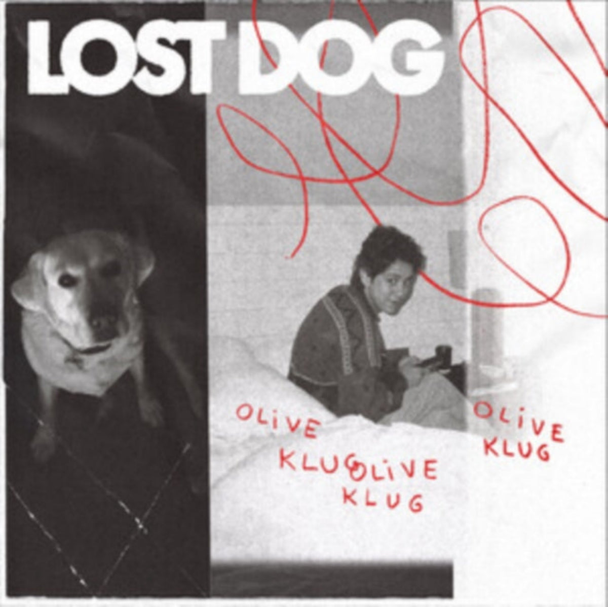 Lost Dog