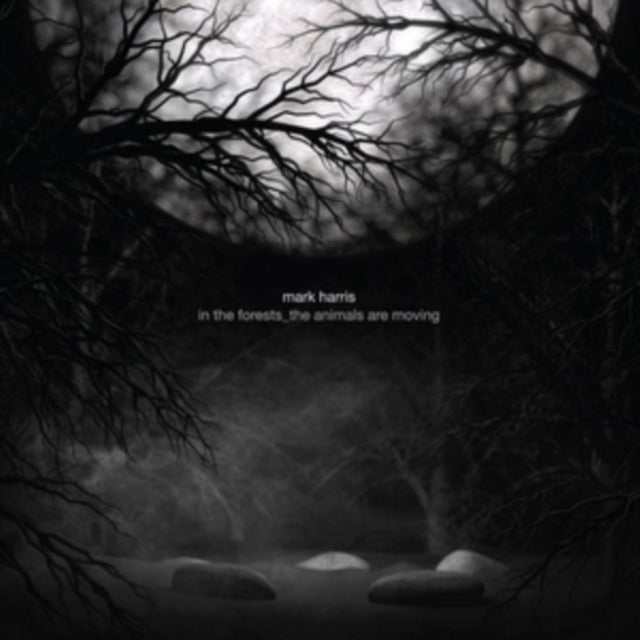 In the Forests_the Animals Are Moving