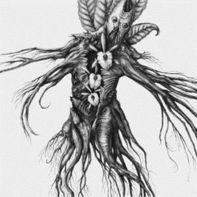 IV: Mandragora