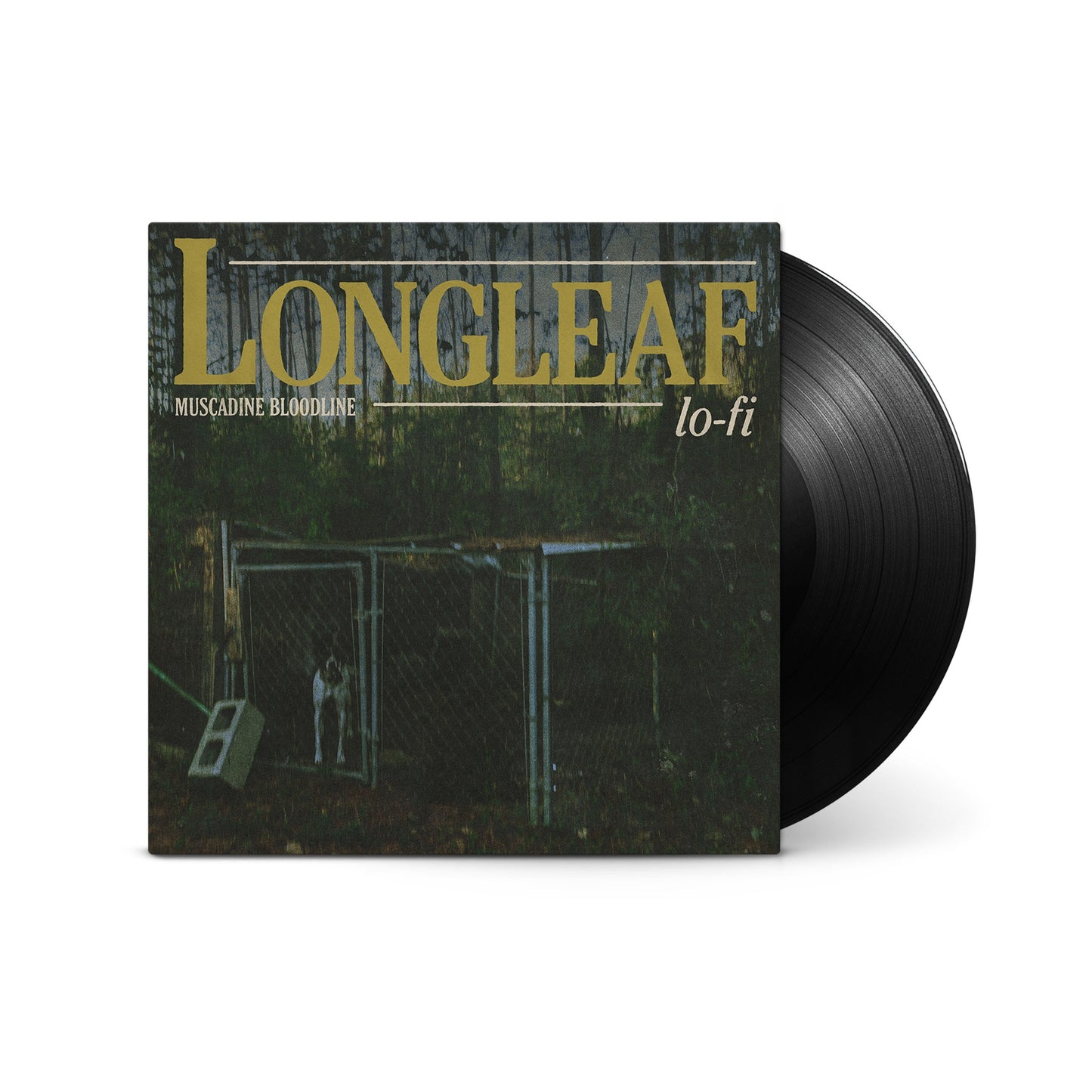 Longleaf Lo-fi