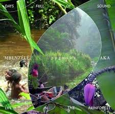 Days Full Of Sound Life In The Rainforest
