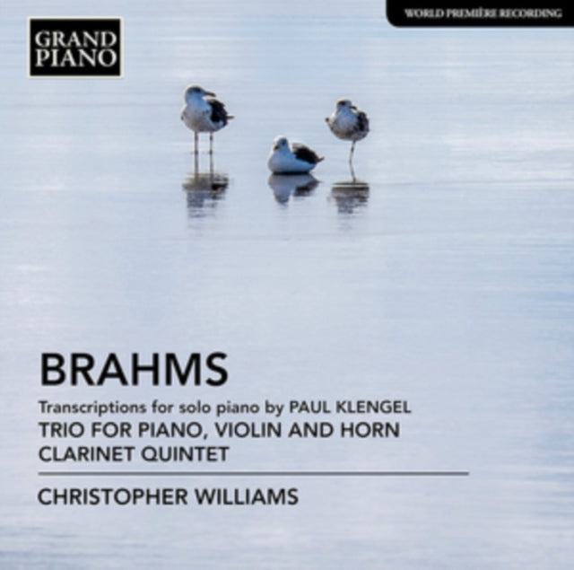 Brahms: Transcriptions for Solo Piano By Paul Klengel
