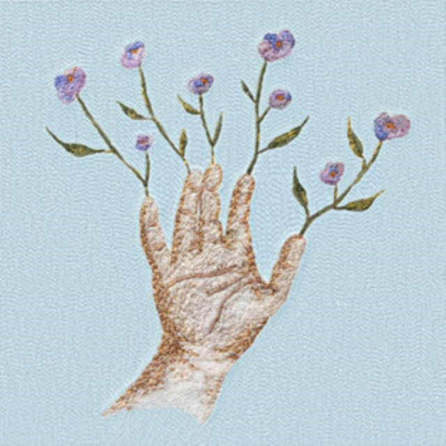 Crocus