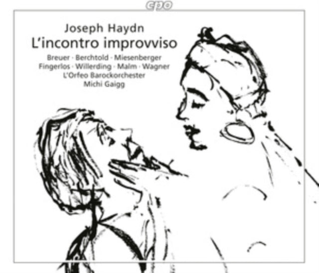 Joseph Haydn: L'incontro Improvviso