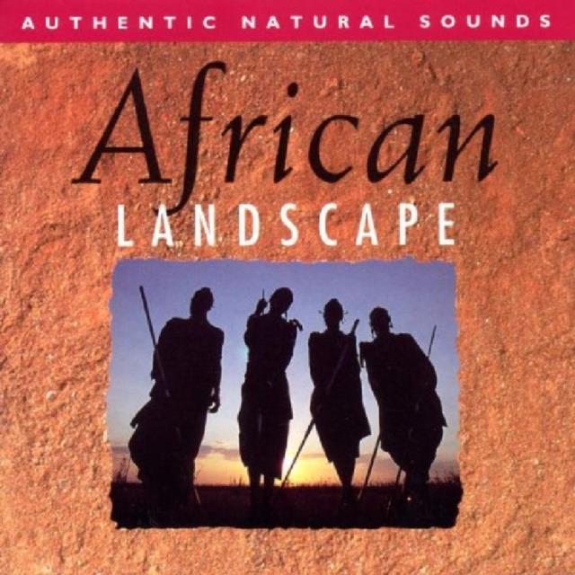 African Landscape