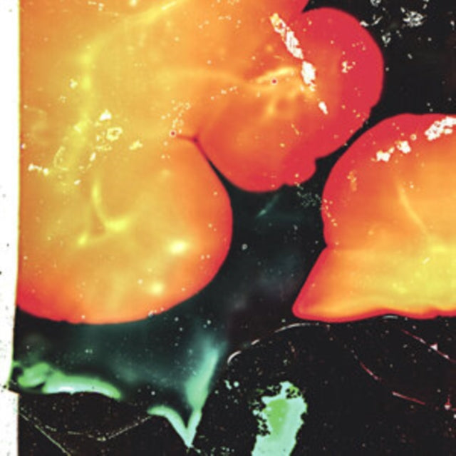 Står Op Med Solen