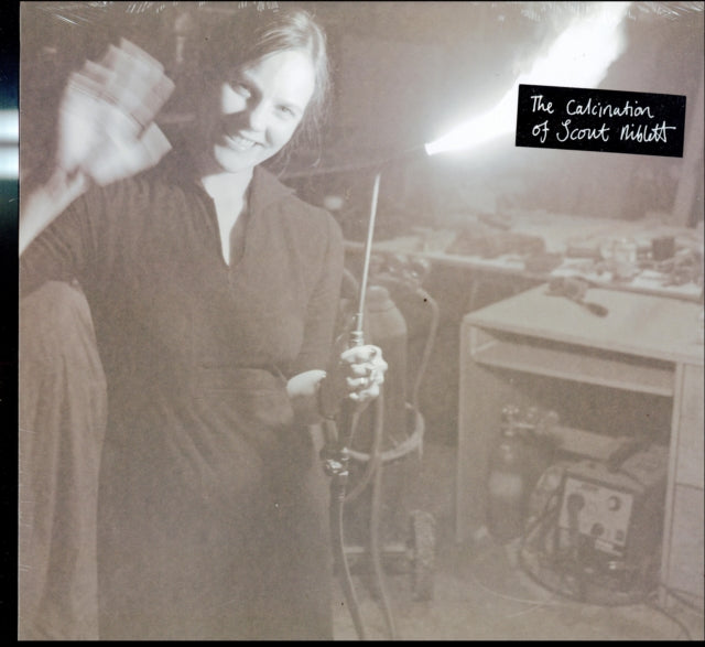The Calcination of Scout Niblett