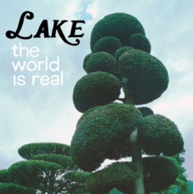 The World Is Real