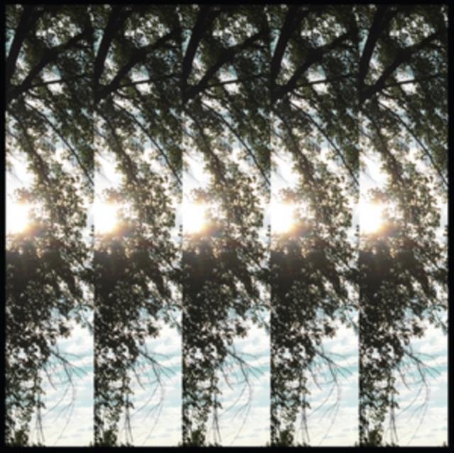 Dialectic of Ignorance