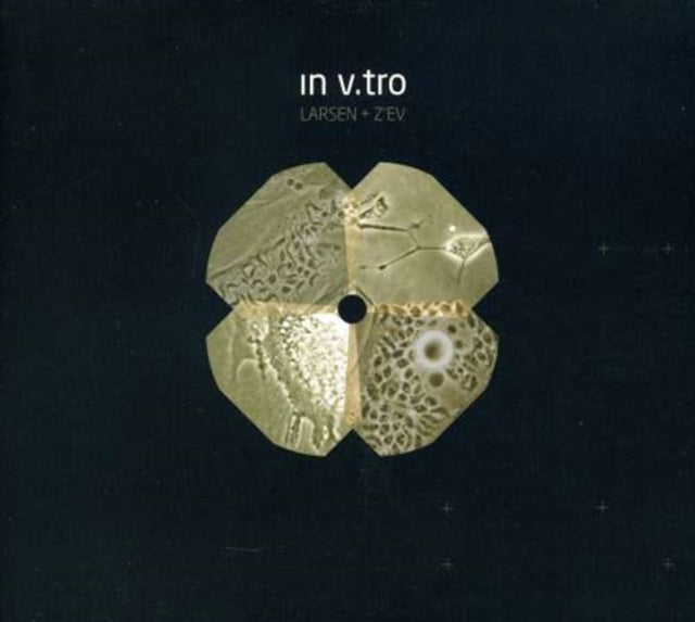 In V Tro