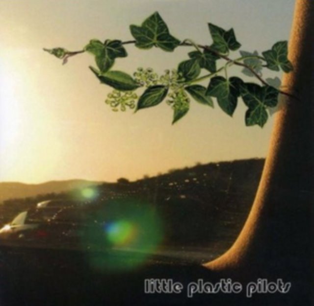 Little Plastic Pilots