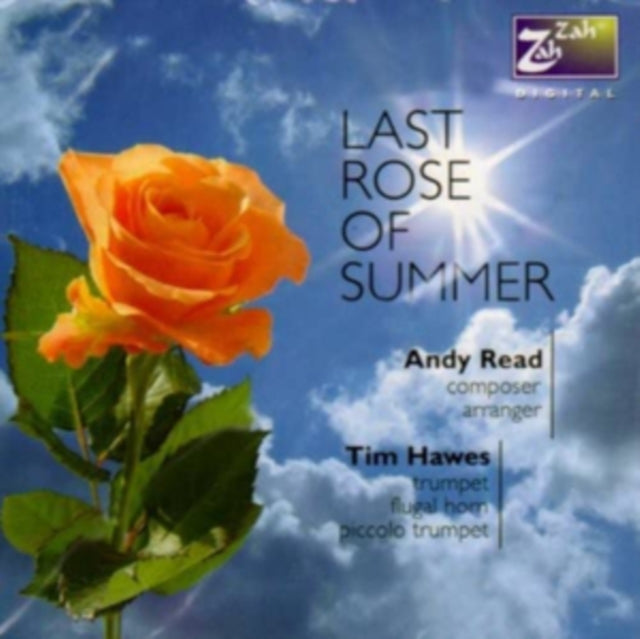 Andy Read: Last Rose of Summer