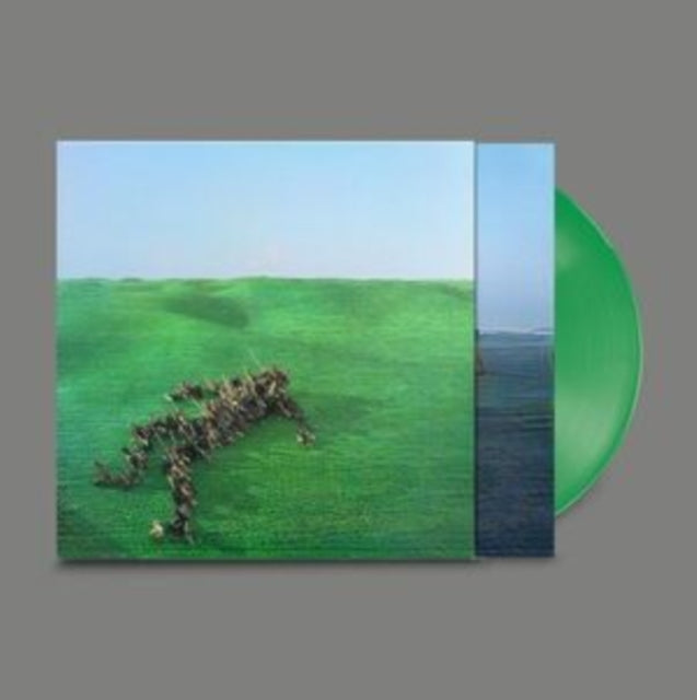 Bright Green Field