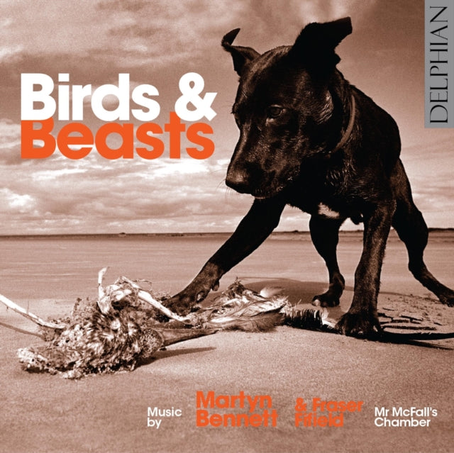 Martyn Bennett Birds Beasts Mr Mcfalls C